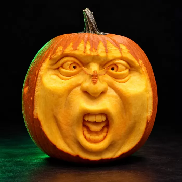 Carved pumpkin, Sept 2013